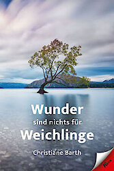 Raus aus der Krise